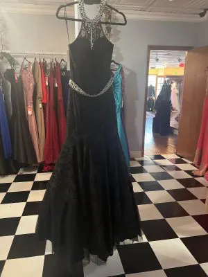 Princess 09-6046