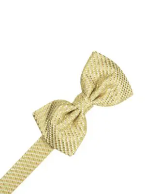 Venetian Honeymint Bowtie - MENS - VEHONT - Pre-tied